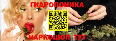 шишки Кулебаки