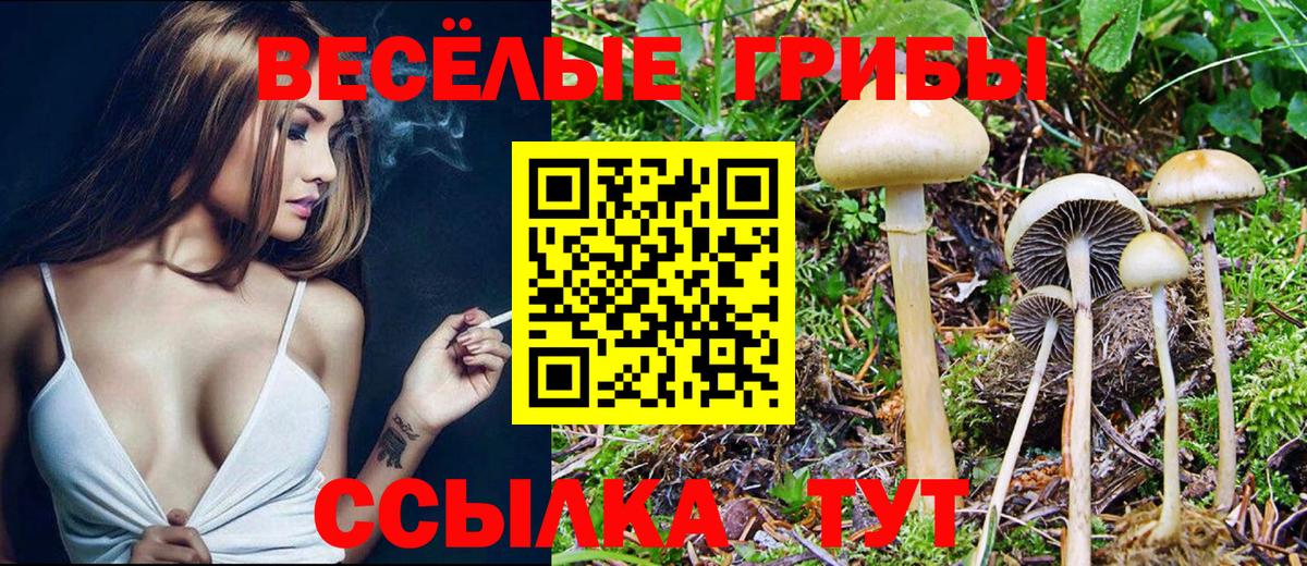 Галлюциногенные грибы Cubensis Каменск-Уральский