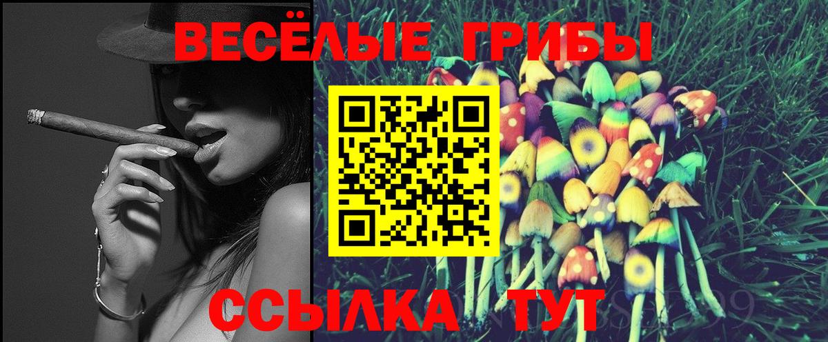 Галлюциногенные грибы GOLDEN TEACHER  Вход с VPN  Каменск-Уральский 